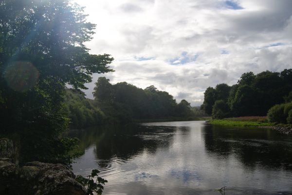 River Tweed, Melrose
