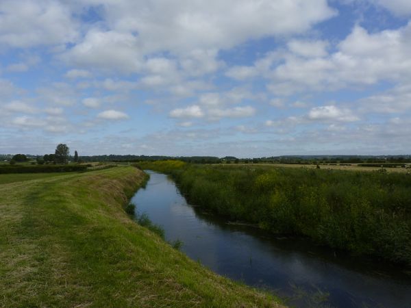River Parrett near Thorney - Becky J Williamson