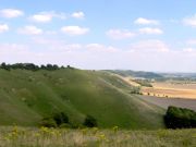 Pewsey Downs on the Mid-Wilts Way
