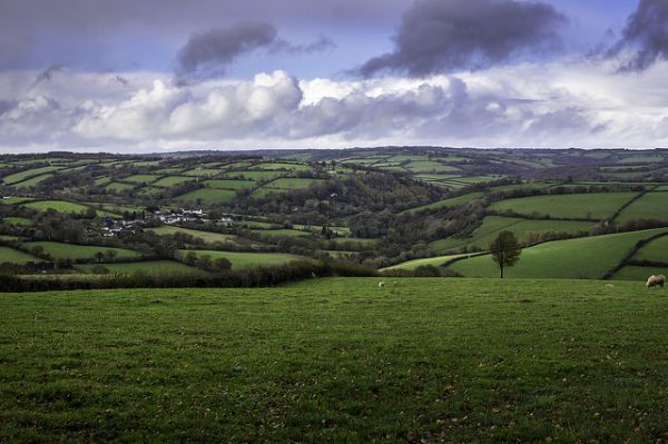 Looking down on Wiveliscombe © Steve Bruce