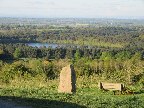 Delamere from Pale Heights