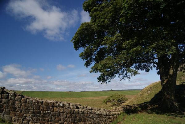 Hadrian's Wall Path National Trail
