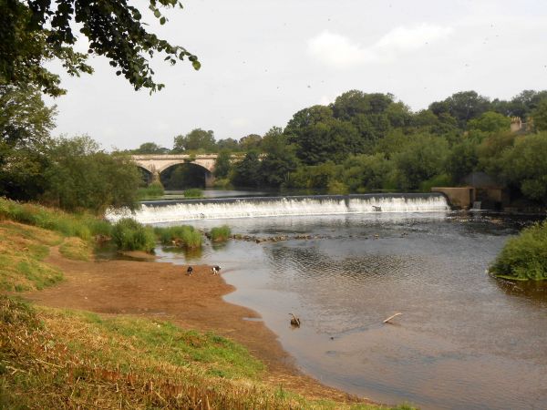 River Wharfe and Weir near Tadcaster