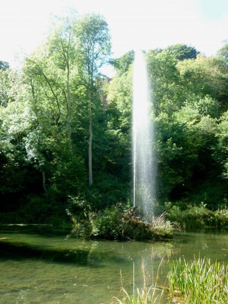 Fountain Pond, Hack Fall Wood, Grewelthorpe