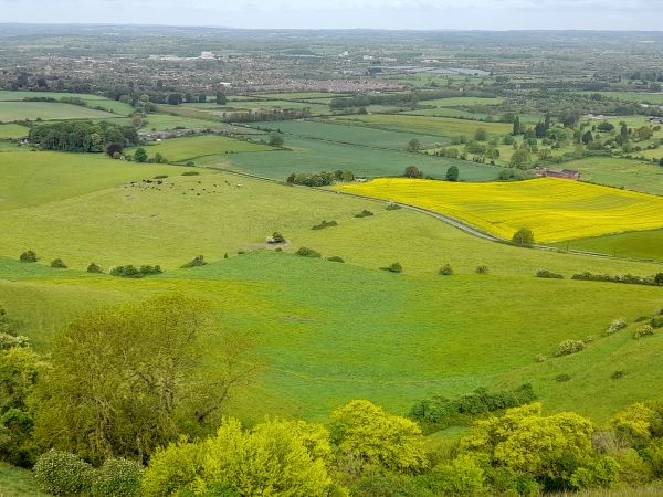 View from Westbury White Horse Trail
