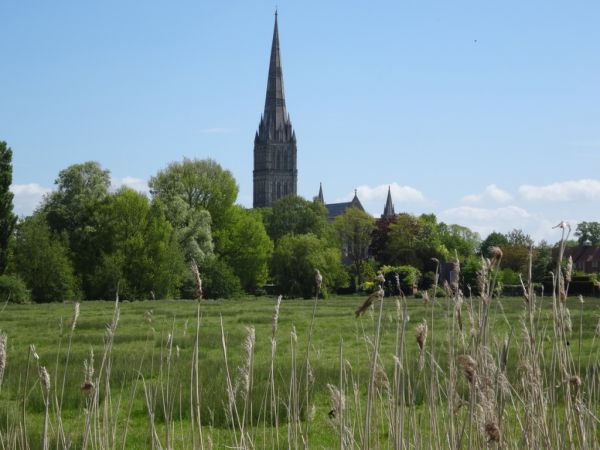 Salisbury cathedral across the water meadows