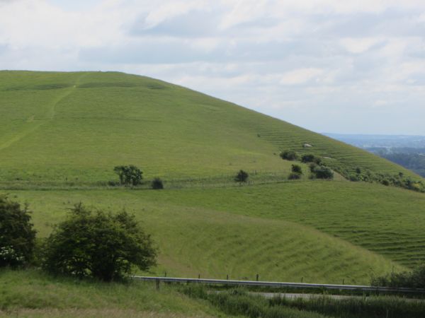 Walker's Hill - Friends of the Ridgeway