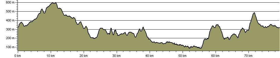 Dartmoor Ramble - Route Profile