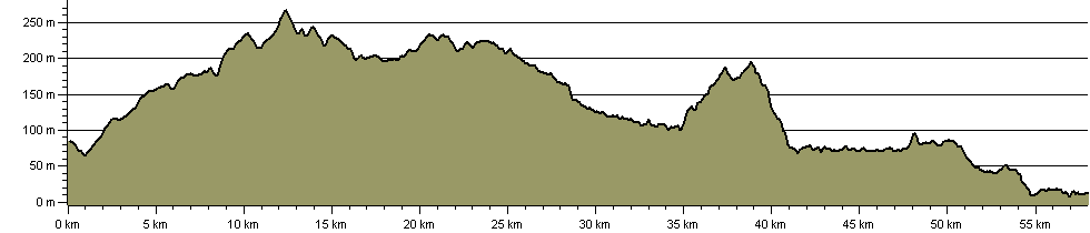 Ladywell Way - Route Profile