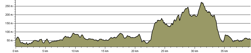 Black Pear Marathon - Route Profile