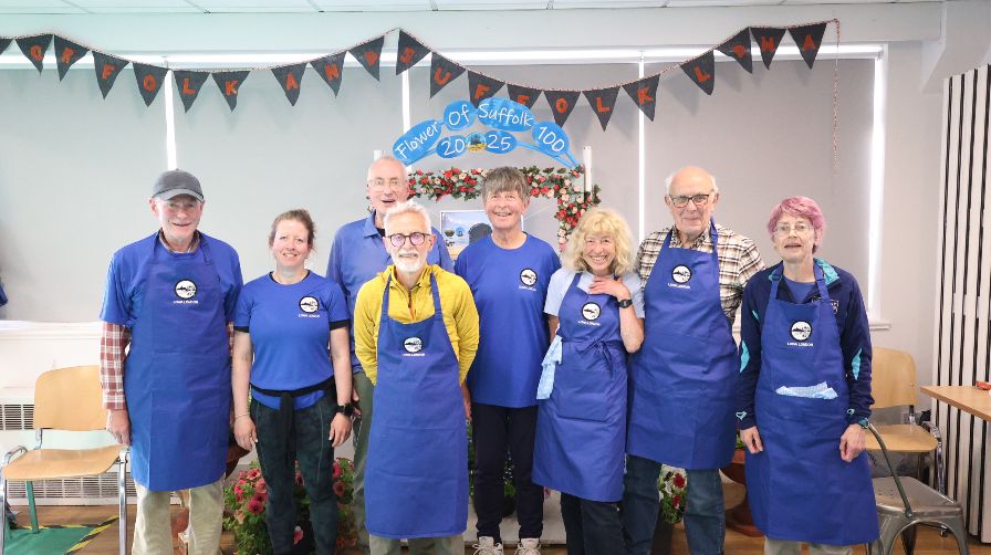 Easter eggs in grass