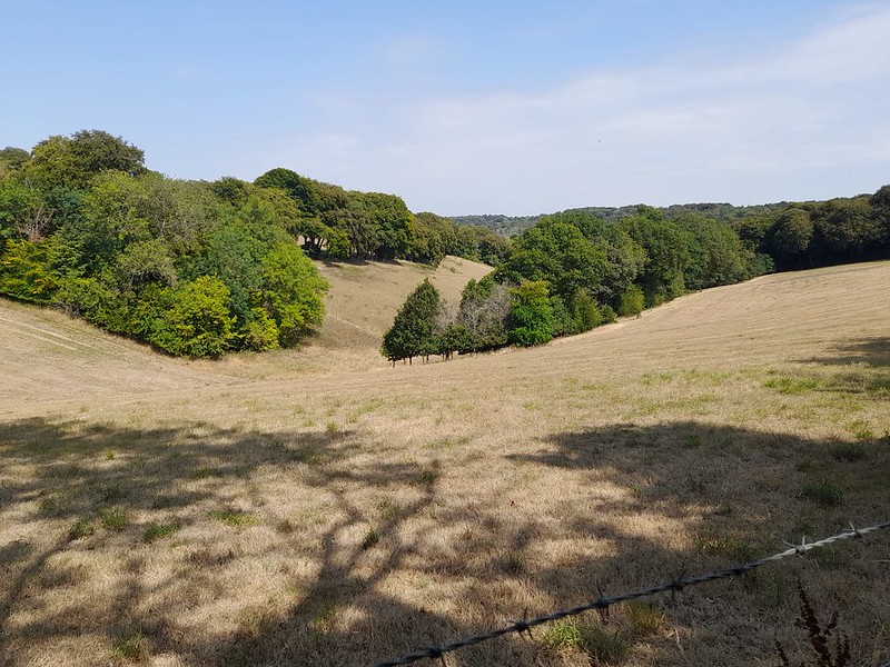 Ivinghoe Beacon from The Crong