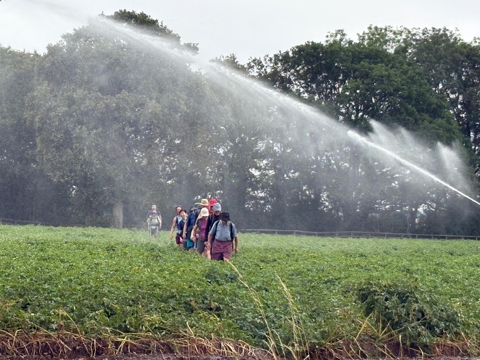 A welcome shower