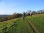  Ockley Hill, views to Surrey tops (GR TQ309543)