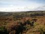  Looking back across Dartmoor from above Dartmeet