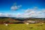 Stage 4 - Welsh Heritage above the Rhondda Valleys Stage 4 - Welsh Heritage above the Rhondda Valleys