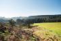 Stage 5 - St Gwynno Forest Stage 5 - St Gwynno Forest