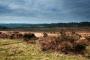 Stage 7 - Gelligaer Common Stage 7 - Gelligaer Common