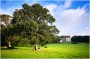 Piercefield House Piercefield House