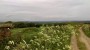 Out above Oxspring Out above Oxspring