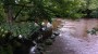 Stepping Stones (not the official route) Stepping Stones (not the official route)