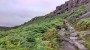 A lovely Bridleway A lovely Bridleway