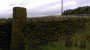 Ye old signpost. Brafiedl & Sheffield Rd Ye old signpost. Brafiedl & Sheffield Rd