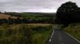 Look out for Hazlenut trees and Burdock along this minor road Look out for Hazlenut trees and Burdock along this minor road