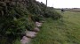 Ye old flagstone path Ye old flagstone path