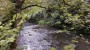 Over the River Don (again) Over the River Don (again)