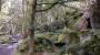 Wharncliffe Crags Wharncliffe Crags