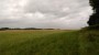 Fields of Gold Fields of Gold