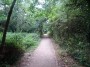 Moseley to Northfield 6 Moseley to Northfield 6