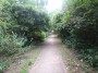 Moseley to Northfield 7