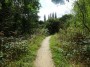 Moseley to Northfield 12