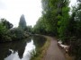 Moseley to Northfield 17