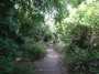 Moseley to Northfield 27 Moseley to Northfield 27
