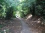 Moseley to Northfield 28