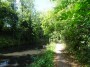 Moseley to Northfield 29 Moseley to Northfield 29