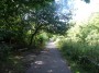 Moseley to Northfield 49