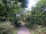 Moseley to Northfield 50