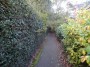 Northfield to Rubery 4