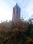 Northfield to Rubery 12