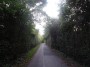 Northfield to Rubery 17