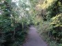 Northfield to Rubery 29