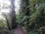 Northfield to Rubery 31