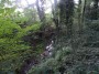 Northfield to Rubery 33