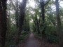 Northfield to Rubery 34