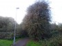 Northfield to Rubery 38