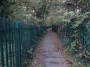 Northfield to Rubery 41 Northfield to Rubery 41